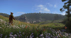 Kingdom Come: Deliverance Royal Edition